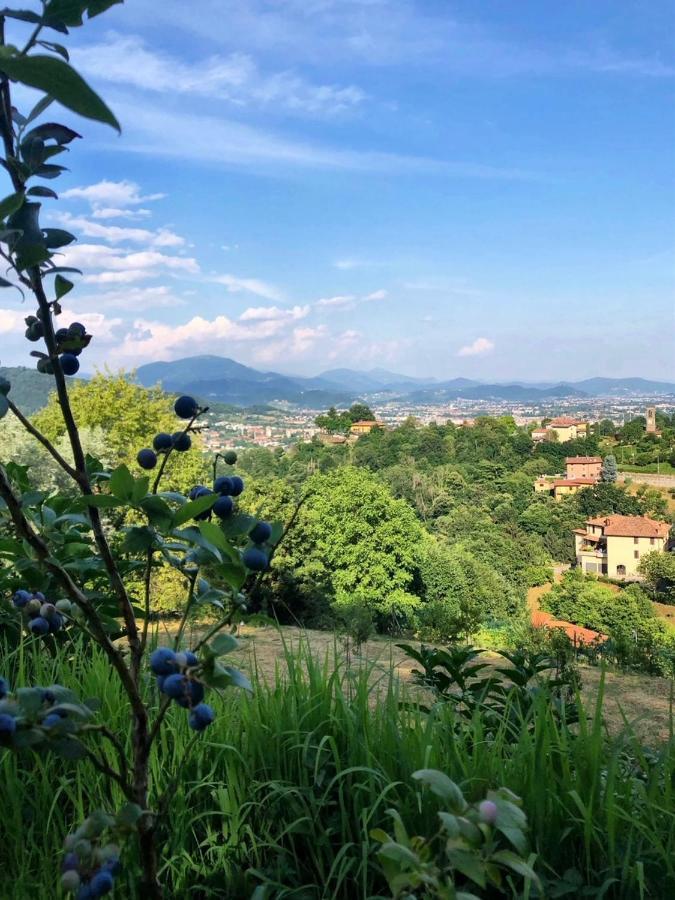 Foresteria Antica Bastia B&B 贝尔加莫 外观 照片